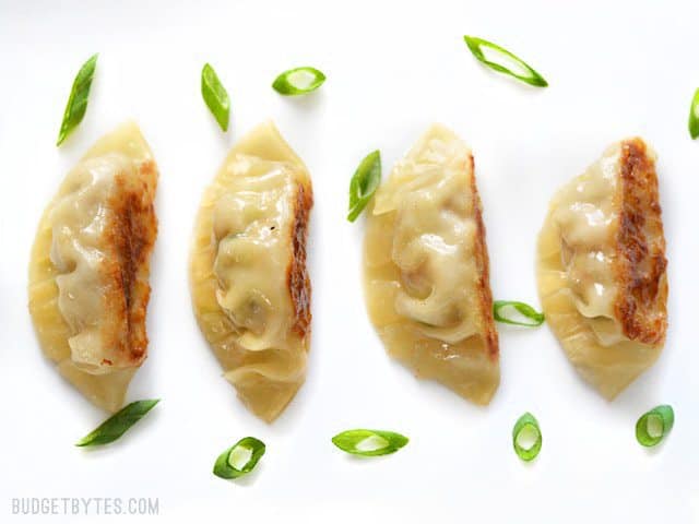 Overhead view of four pork gyoza on a plate, sprinkled with sliced green onion