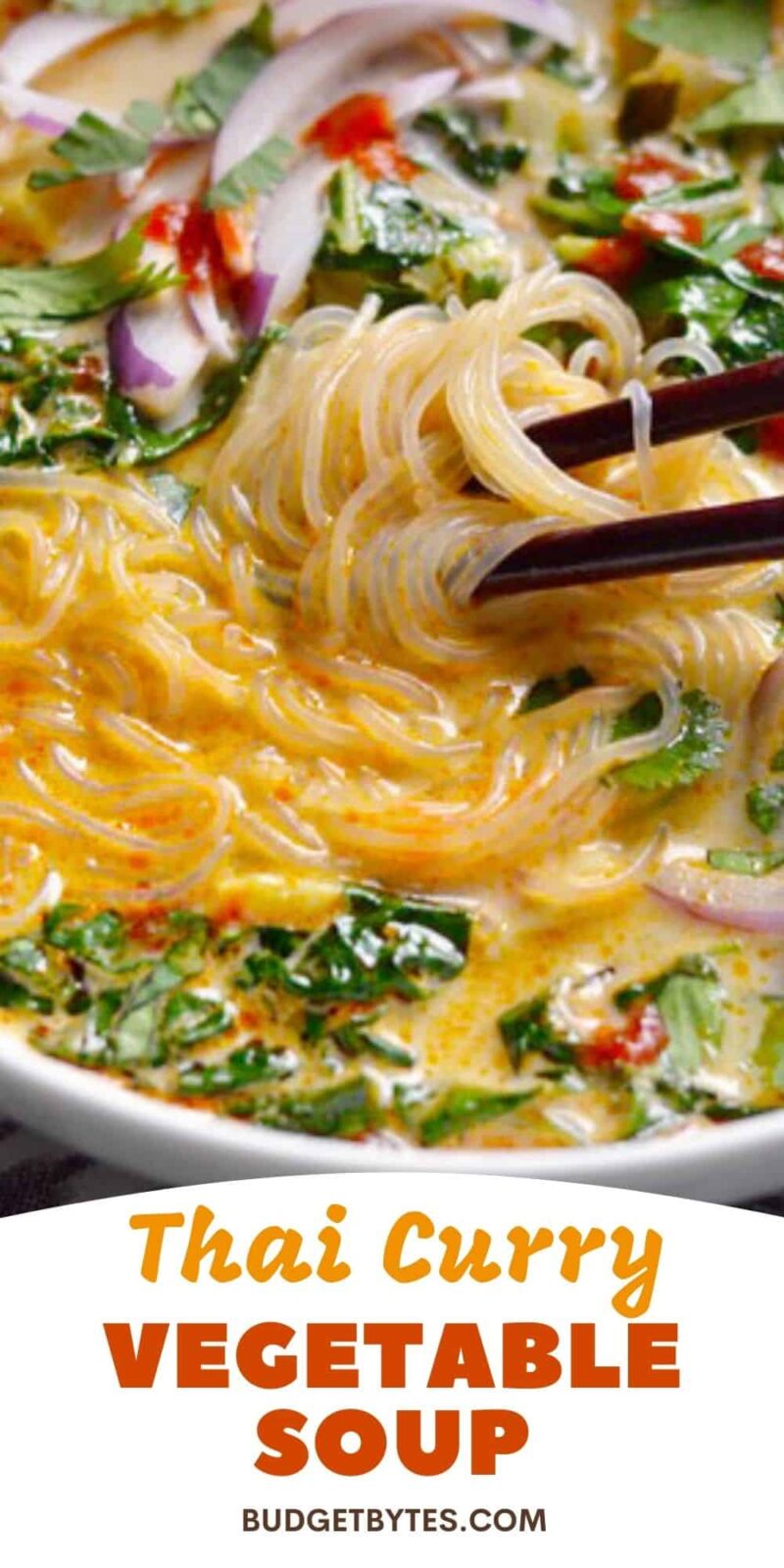 close up of noodles in Thai curry vegetable soup