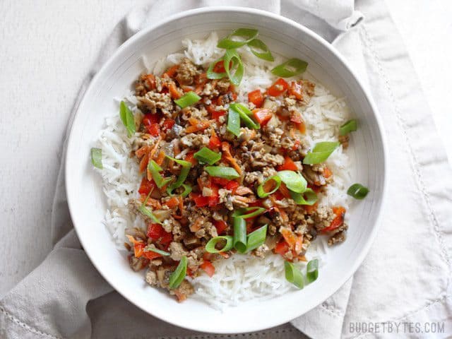 Hoisin stir fry bowl garnished with sliced green onion