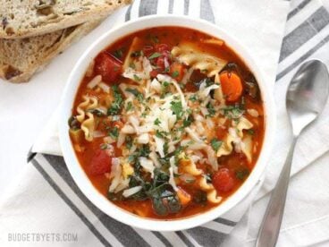 Garden Vegetable Lasagna soup with a colorful vegetable medley and a melty three cheese ricotta blend in each bowl - BudgetBytes.com