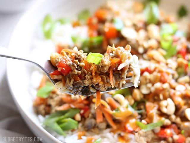 Hoisin Stir Fry Bowls with a rich and spicy peanut sauce are a fast answer to dinner with tons of color, texture, and flavor. Use pork, chicken, or turkey! BudgetBytes.com Close up of a forkful of hoisin stir fry, with the bowl in the background