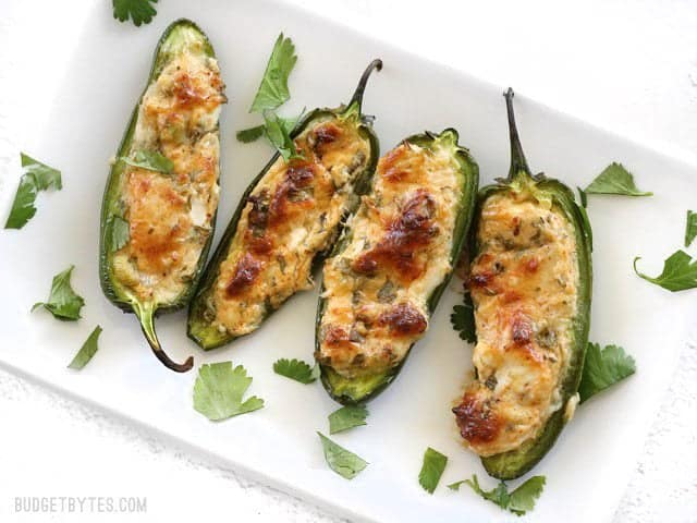 A rectangular plate with four Cheesy Scallion Stuffed Jalapeños, garnished with cilantro