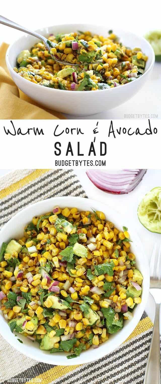 Warm Corn and Avocado Salad makes the perfect light and fresh side for enchiladas, grilled meats, or tacos. BudgetBytes.com