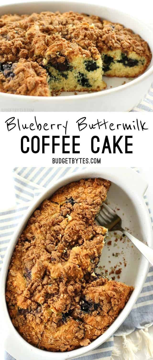 Blueberry Buttermilk Coffee Cake is a morning treat with its sweet blueberries and crunchy cinnamon streusel topping. BudgetBytes.com