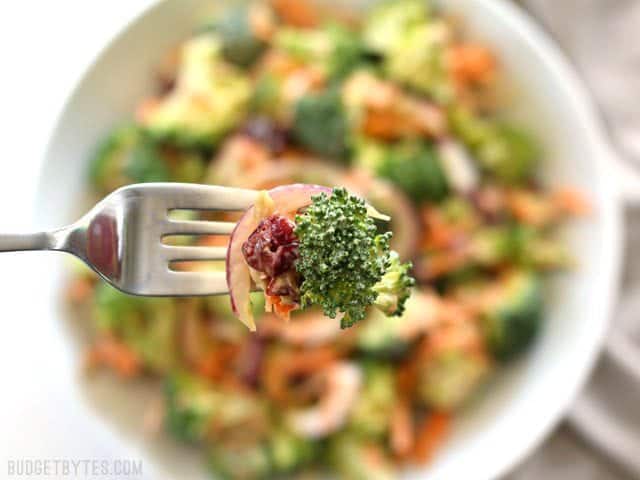 Close up of a forkful of Broccoli Salad with Honey Yogurt Dressing with the bowl in the background