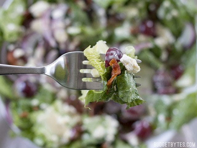 Close up of a forkful of  Grape Feta and Bacon Salad 