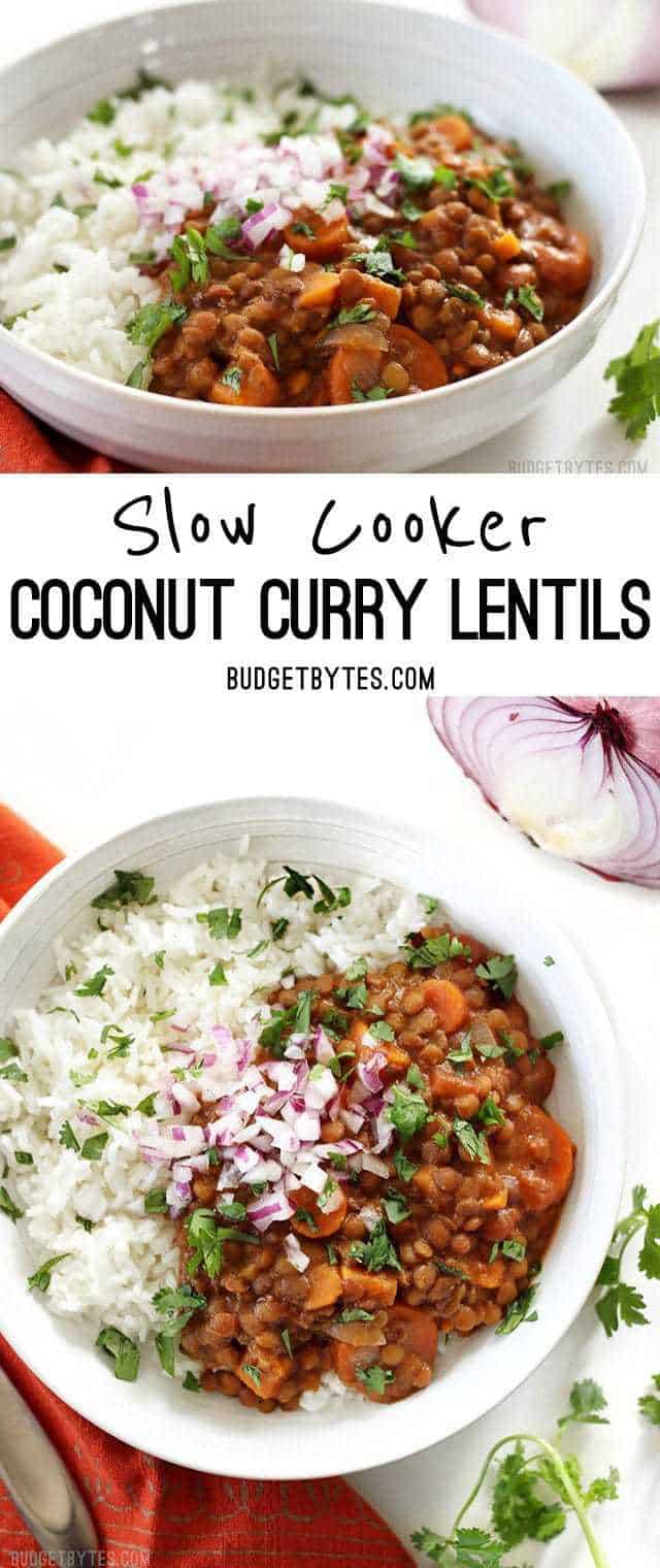 Slow Cooker Coconut Curry Lentils are a hands-off, fiber filled, freezer friendly vegan dinner. Budgetbytes.com