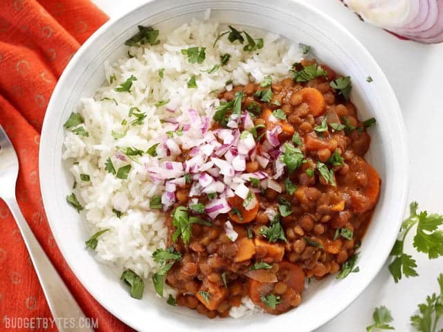 Slow Cooker Coconut Curry Lentils are a hands-off, fiber filled, freezer friendly vegan dinner. Budgetbytes.com