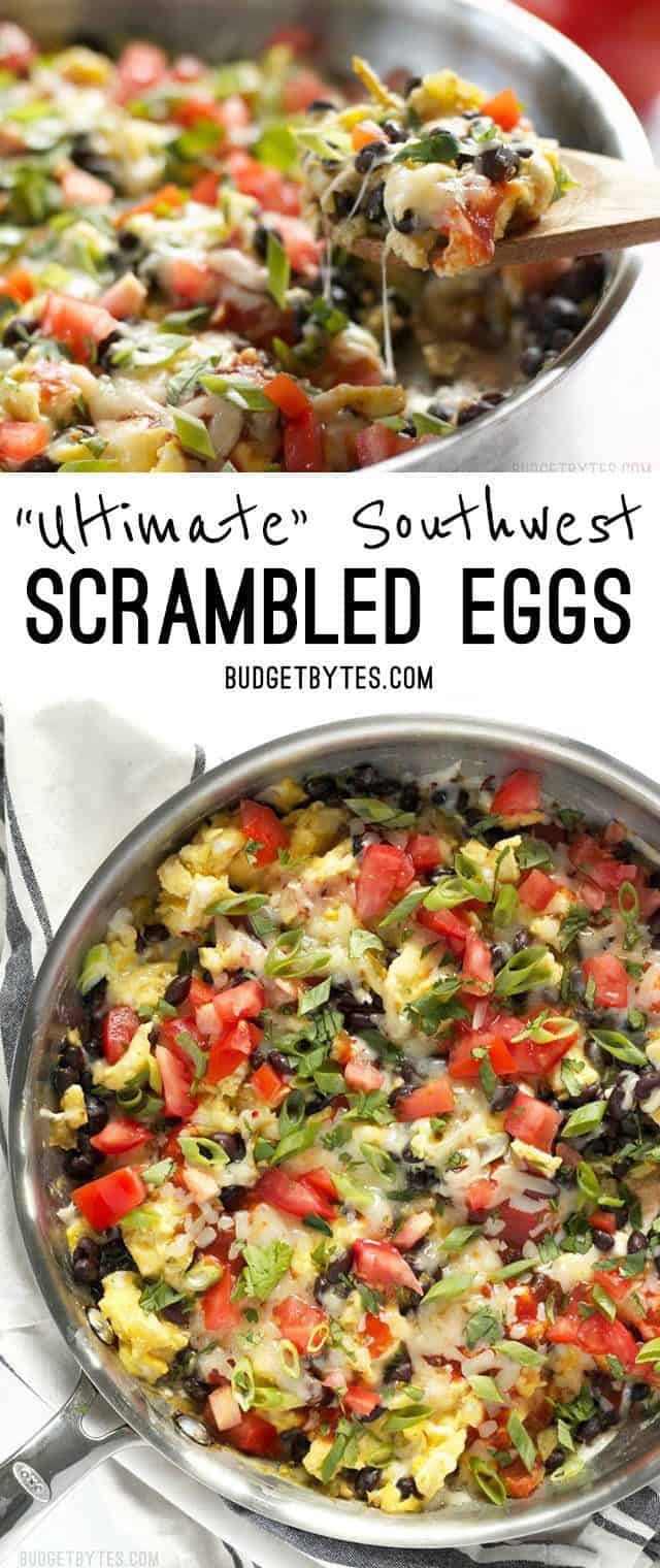 Ultimate Southwest Scrambled Eggs make a fast and filling dinner or brunch, and are a great way to use up leftover ingredients in the kitchen. BudgetBytes.com