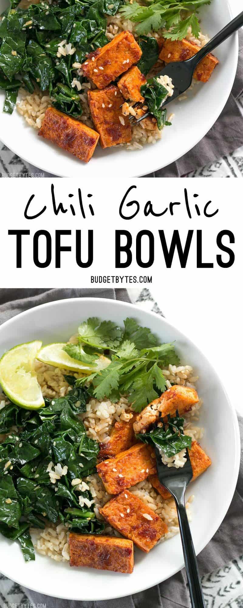 Chili Garlic Tofu Bowls are a fiber and flavor filled healthy lunch that you can pre-pack for your week ahead. BudgetBytes.com