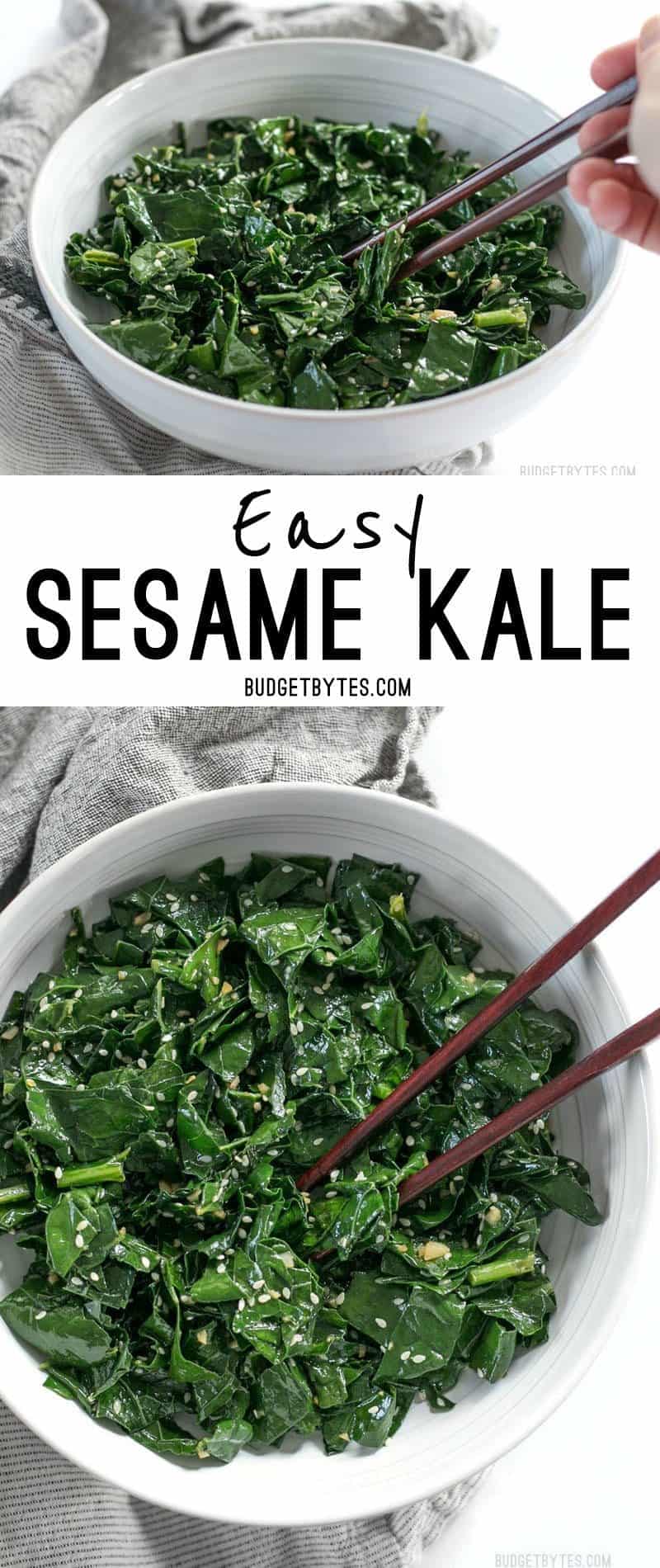 Sesame Kale is a quick and easy side dish that pairs perfectly with any Asian inspired meal. BudgetBytes.com