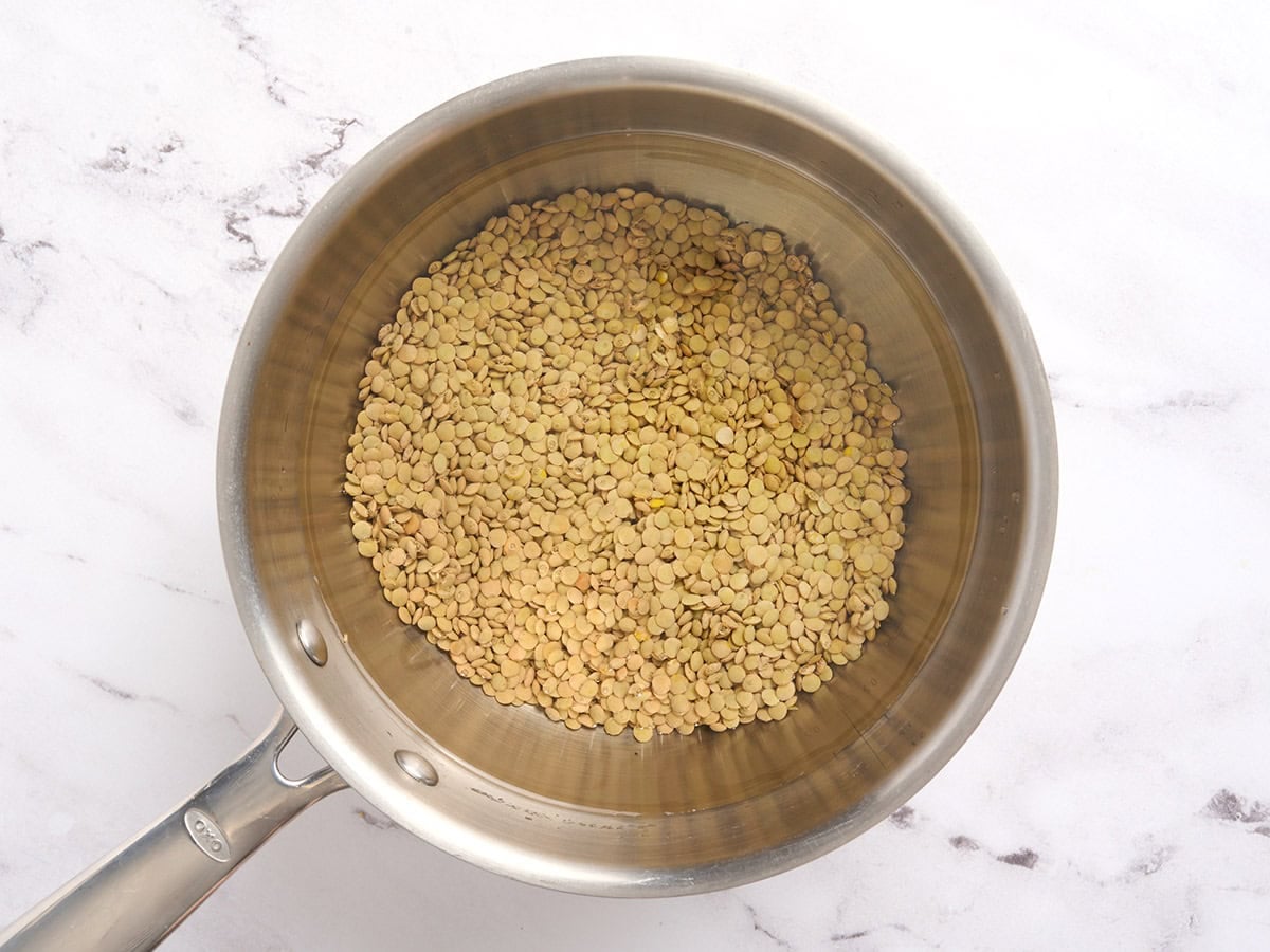 Brown lentils in a sauce pan.