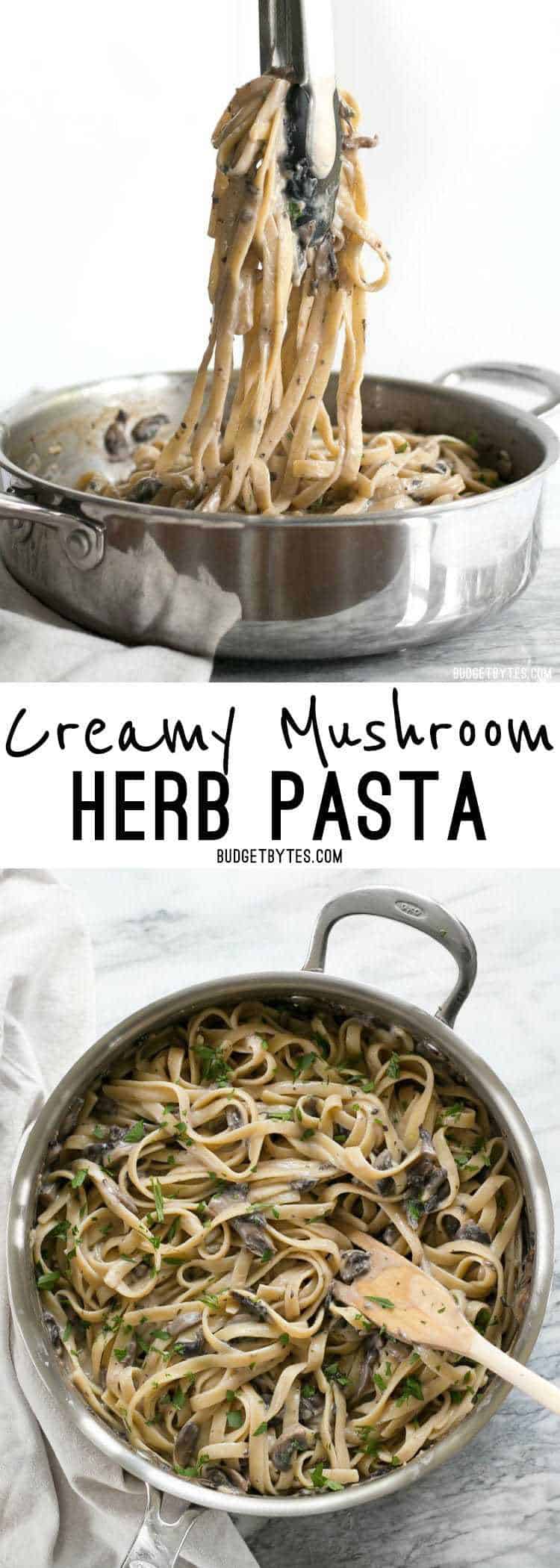 This rich and Creamy Mushroom Herb Pasta is a surprisingly fast and simple to way to have a gourmet meal at home. BudgetBytes.com