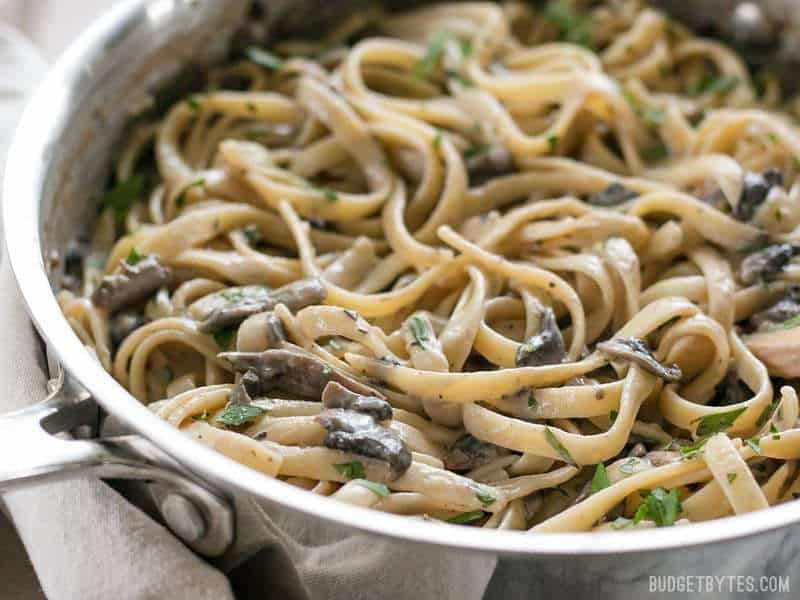 Close up of Creamy Mushroom Herb Pasta in the side, viewed from the side