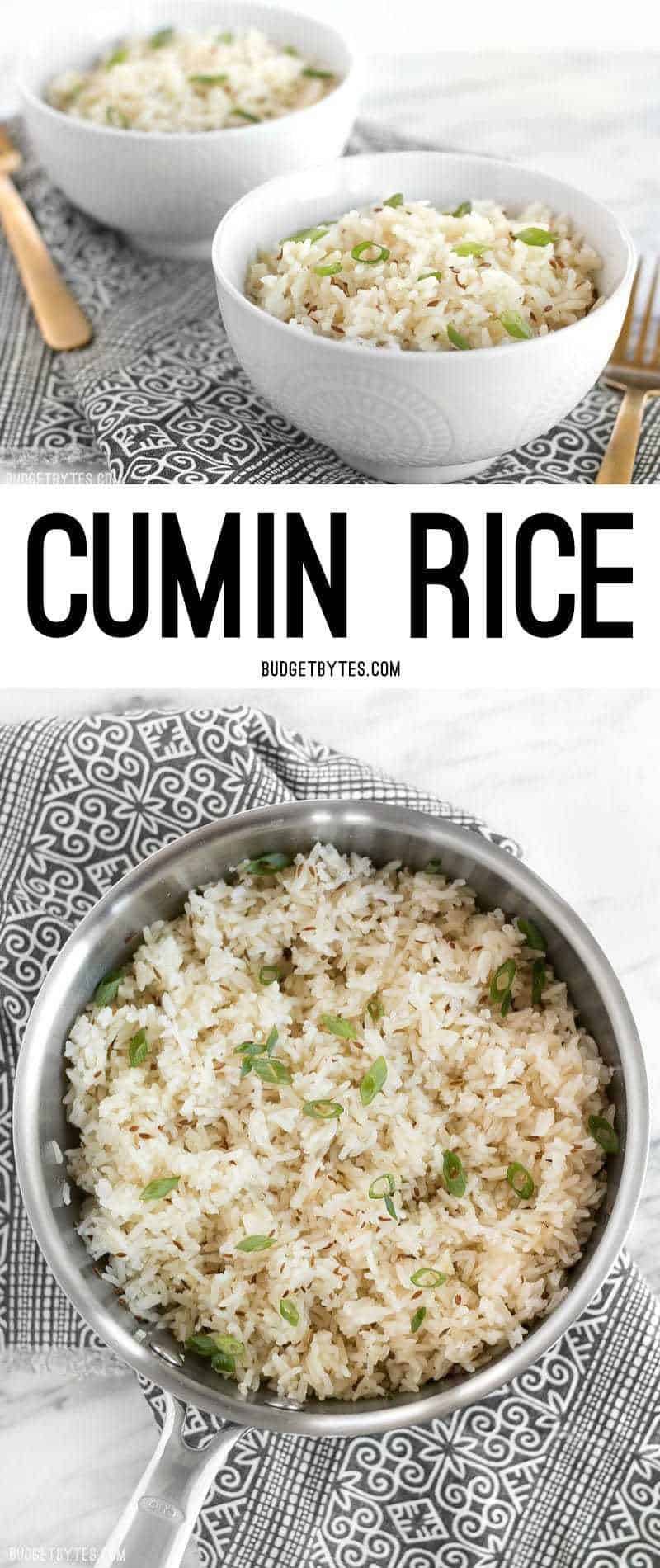 Cumin rice is an earthy and slightly peppery dish that can be used as the base for many meals. BudgetBytes.com