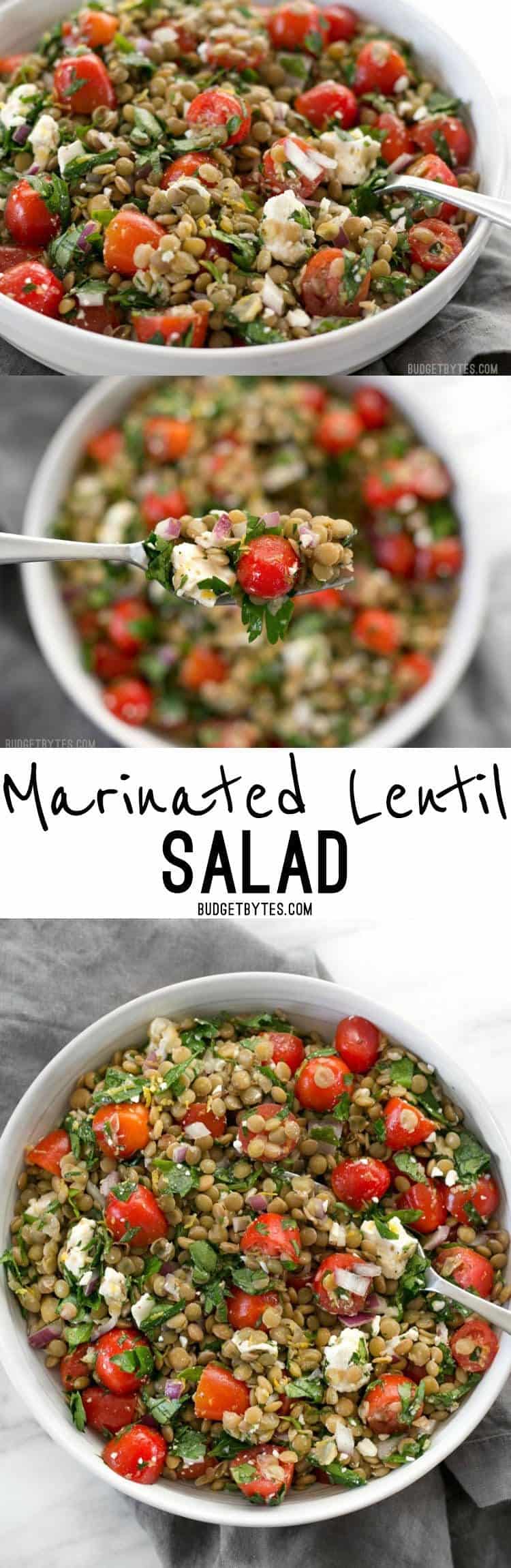 Marinated Lentil Salad is bright and flavorful, and infused with bold flavors like garlic and lemon. BudgetBytes.com