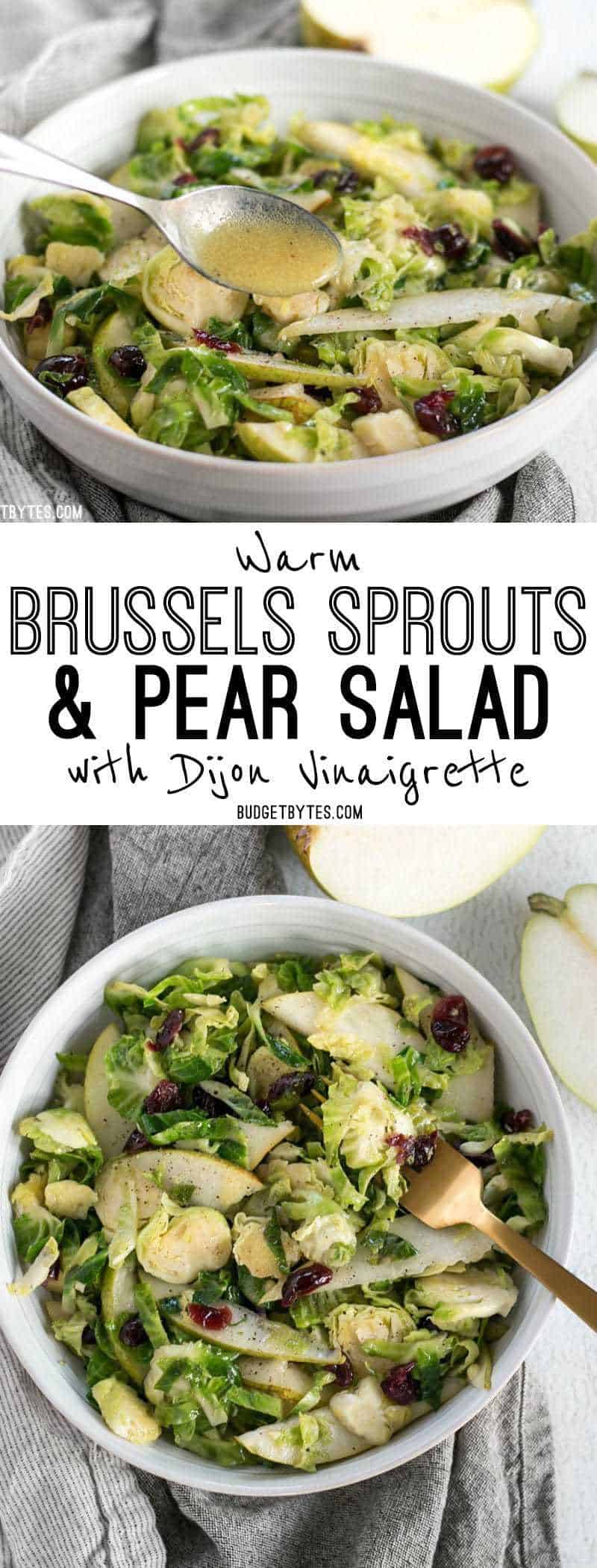 This Warm Brussels Sprouts and Pear Salad combines winter flavors in a warm and filling side dish. BudgetBytes.com