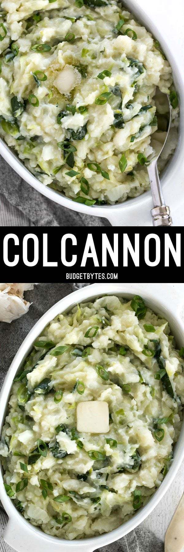 Colcannon is a simple Irish recipe that combines two hearty but inexpensive ingredients to make a delicious and filling side dish. BudgetBytes.com