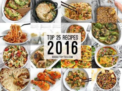 The Top 25 Recipes of 2016 from BudgetBytes.com