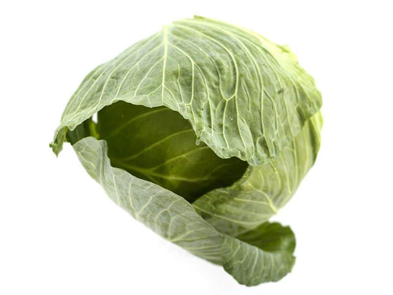 Whole Green Cabbage