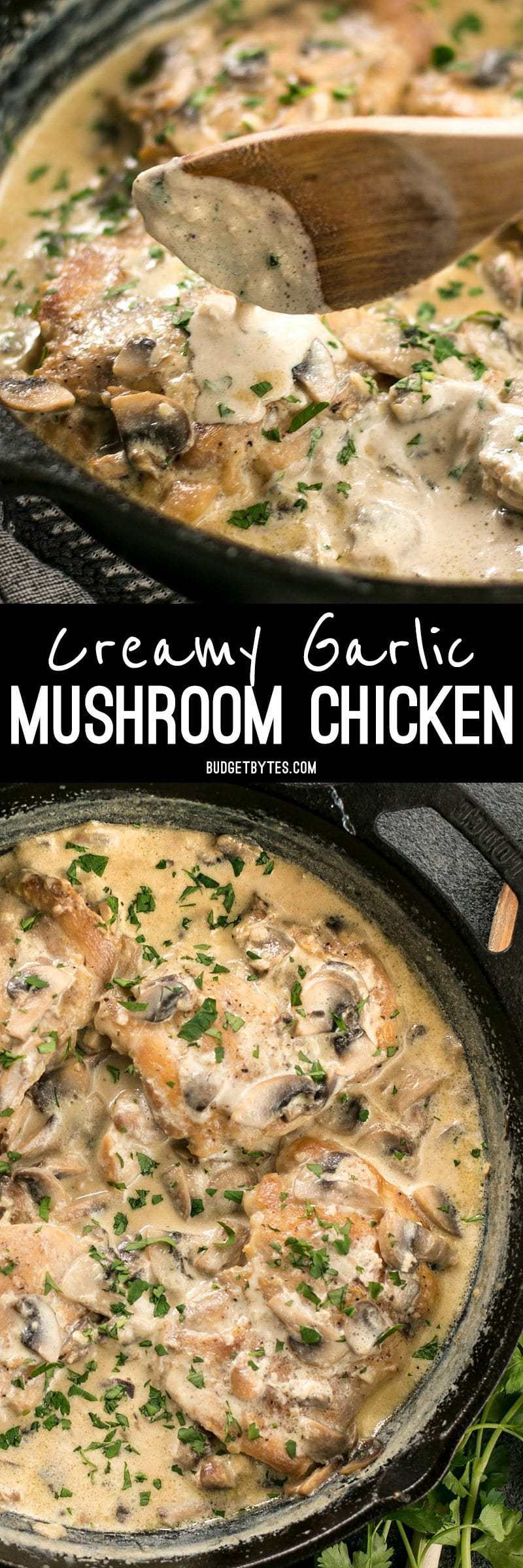 Simple pan sauces save the day in this quick and easy Creamy Garlic Mushroom Chicken! BudgetBytes.com