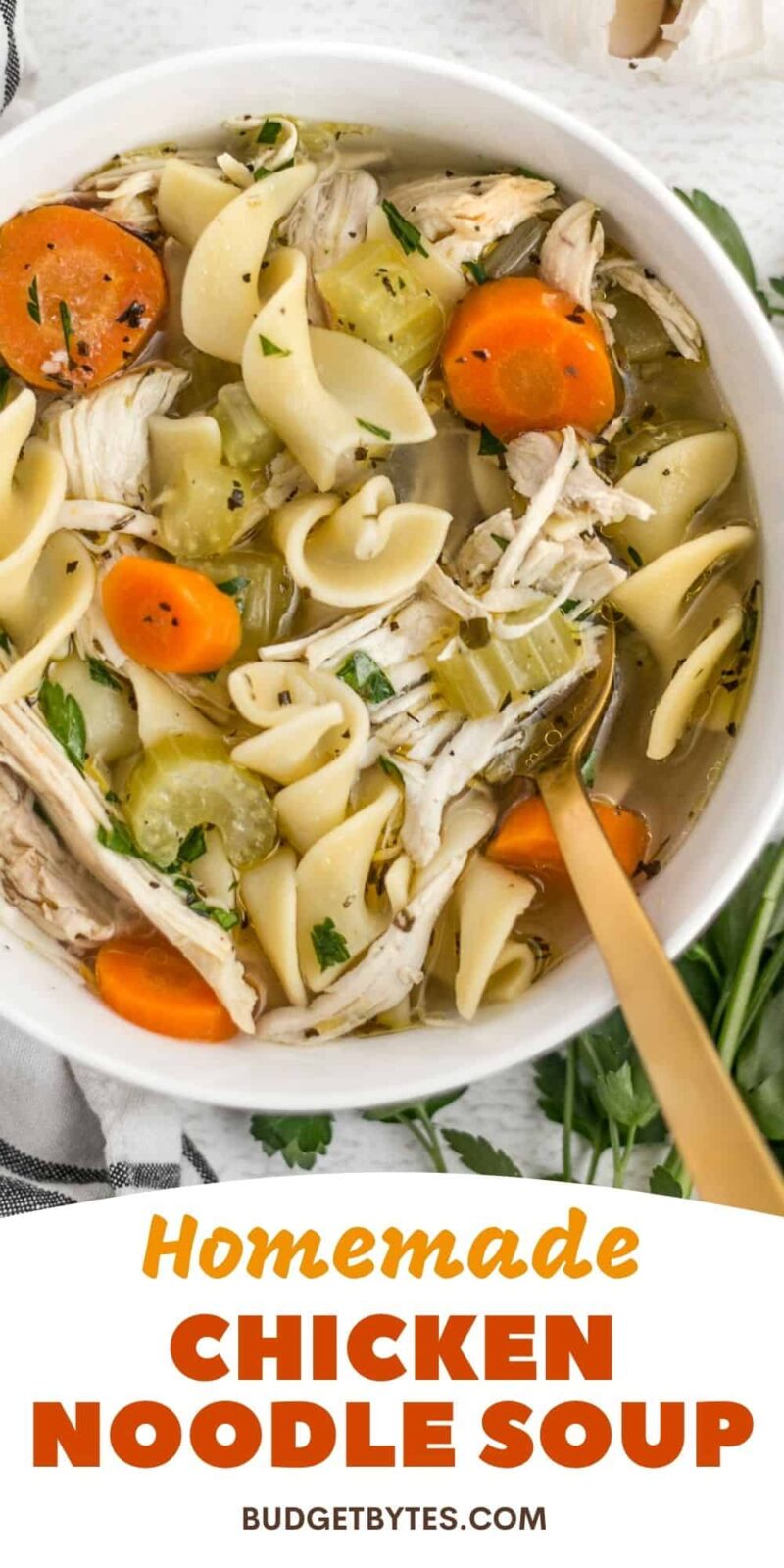 Chicken Noodle Soup (from scratch) - Budget Bytes