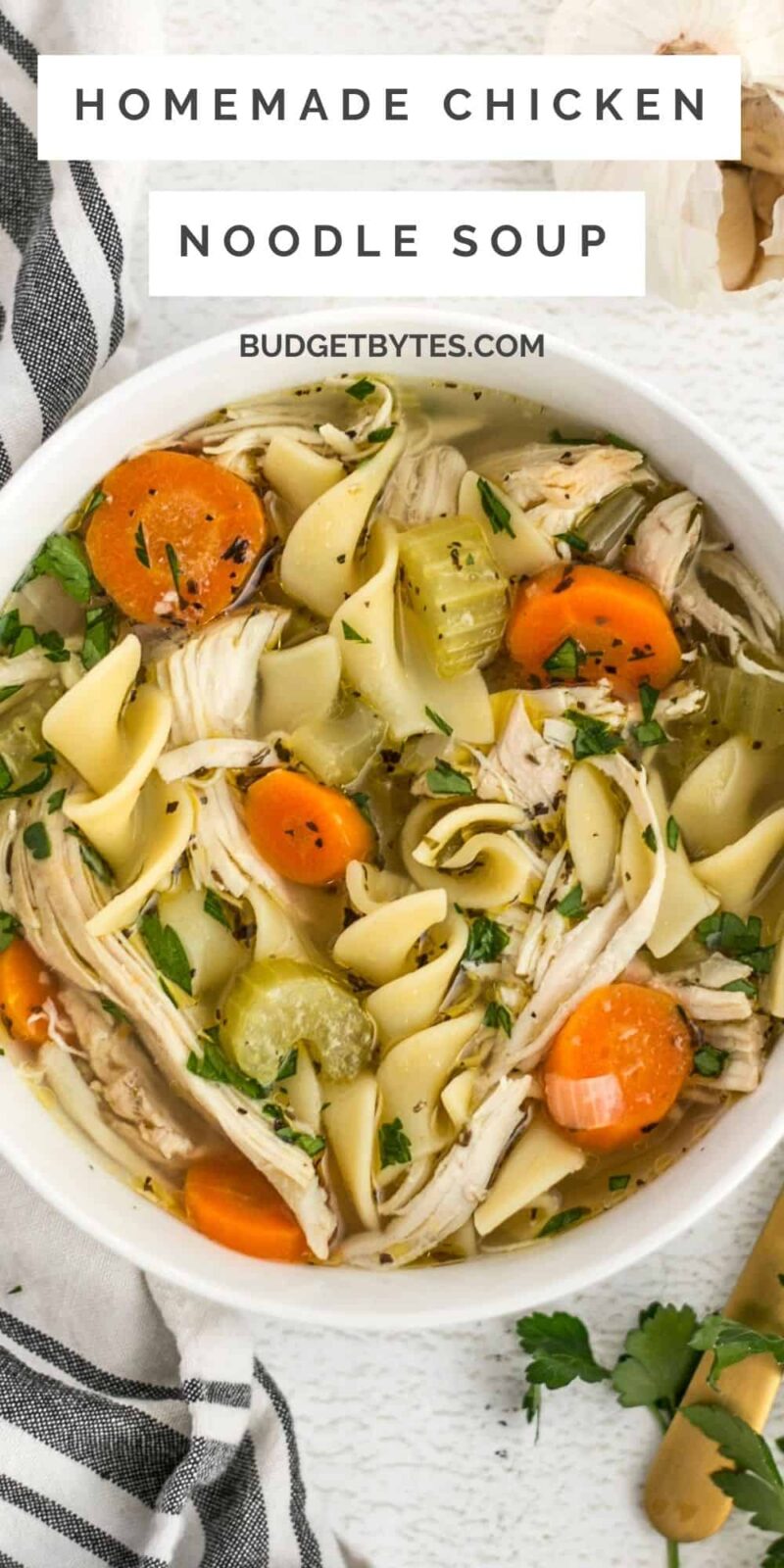 Overhead view of a bowl of chicken noodle soup, title text at the top