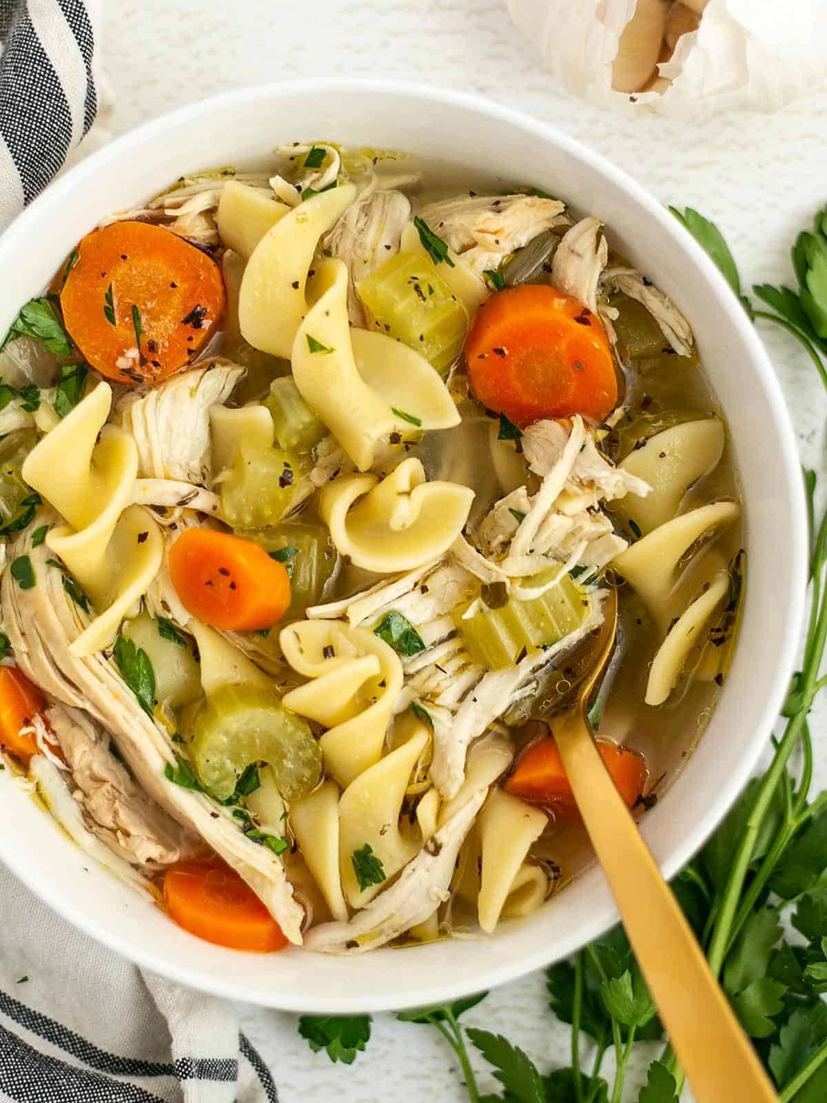 Easy One Pot Chicken Noodle Soup - Together as Family