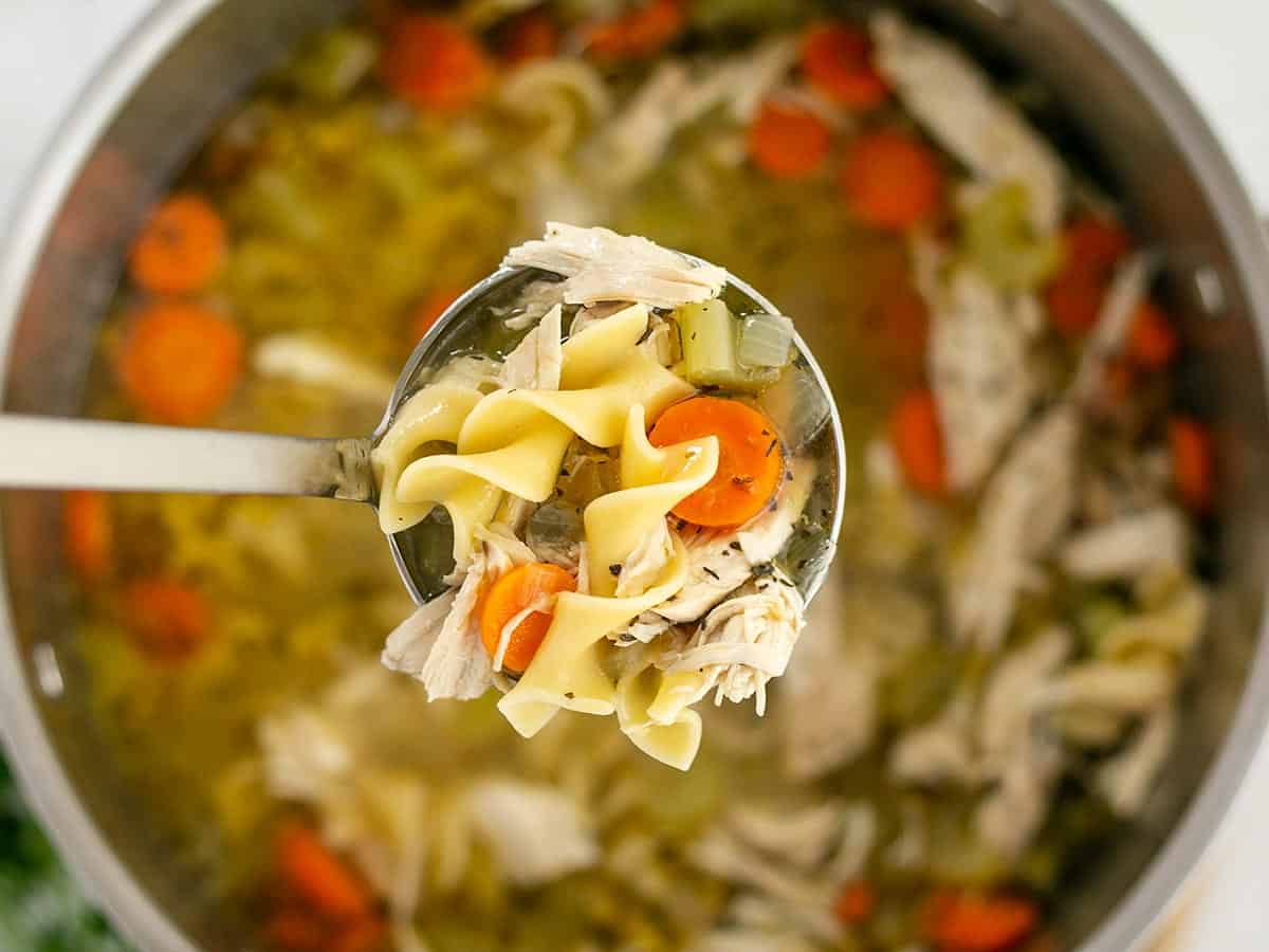 A ladle full of chicken noodle soup held over the pot.