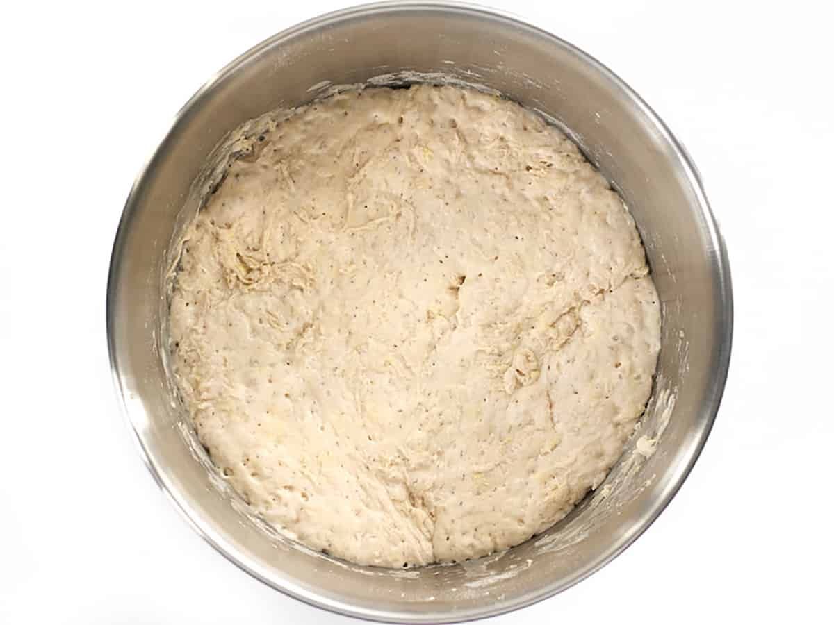 fermented dough in the bowl. 
