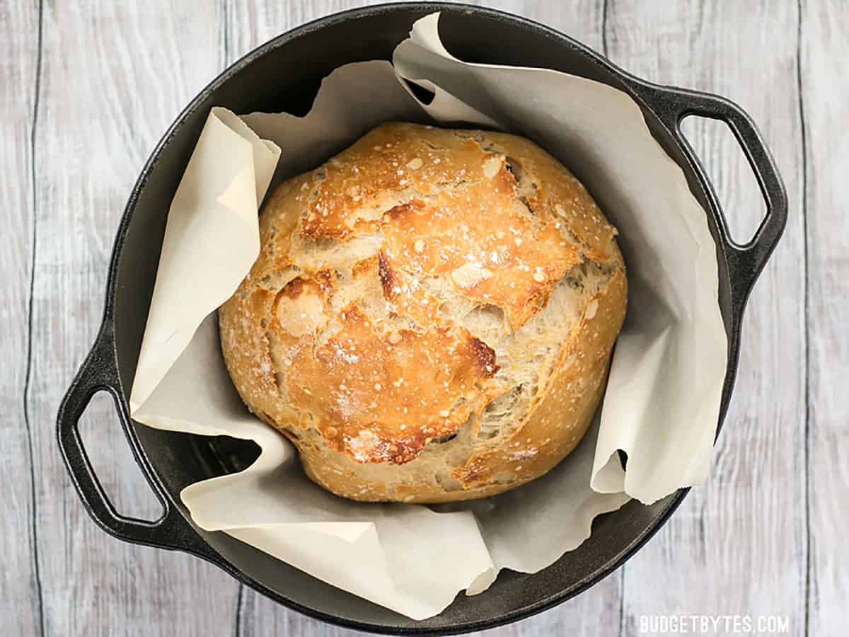 Baked no-knead dough in a cast iron Dutch oven with parchment.
