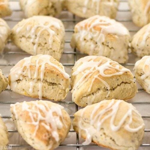 These cute little lemon poppy seed two-bite scones are soft and sweet with a deliciously tart lemon glaze. You won't be able to have just one! BudgetBytes.com