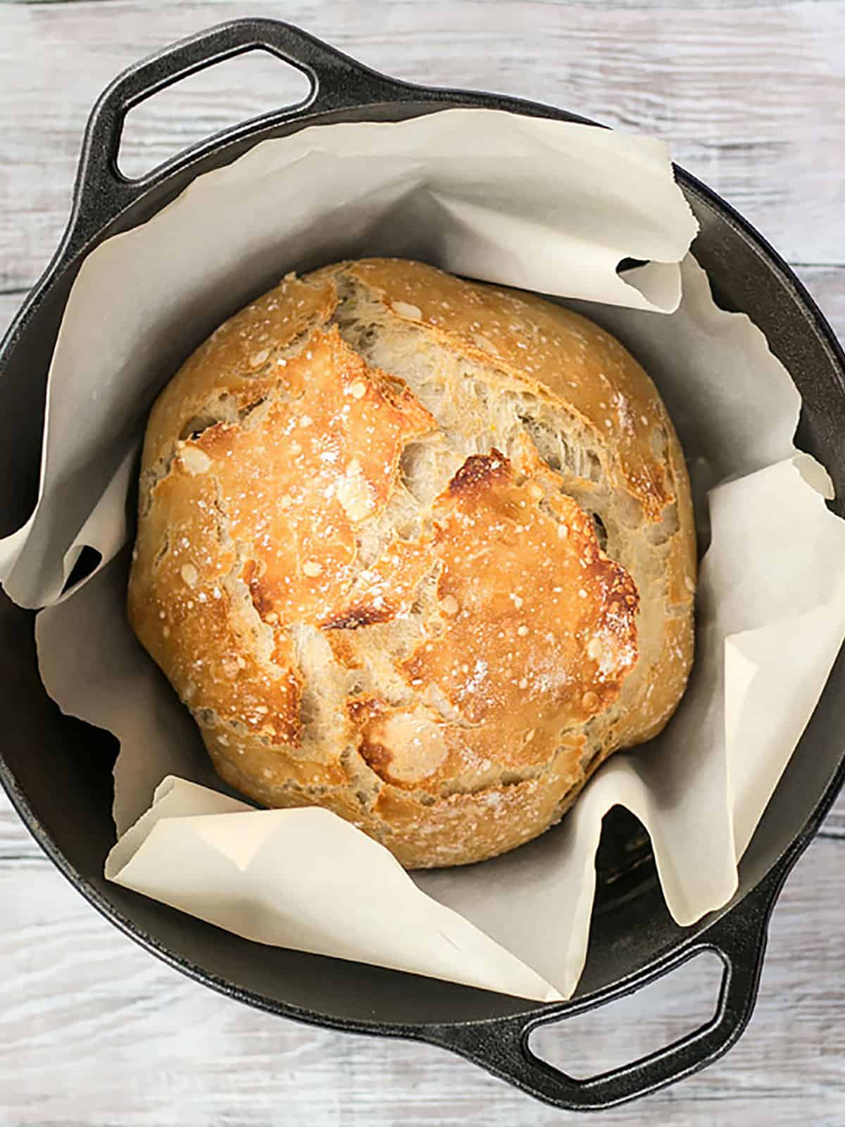 Overhead view of a loaf of no-knead bread in a cast iron Dutch Oven with parchment paper.