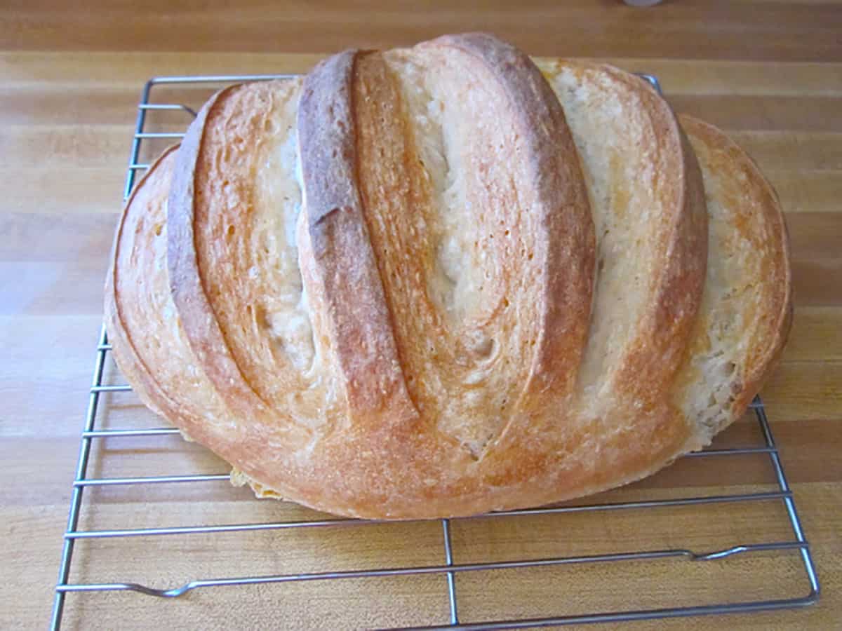 No knead bread baked on a sheet pan, now cooling on a wire rack. 