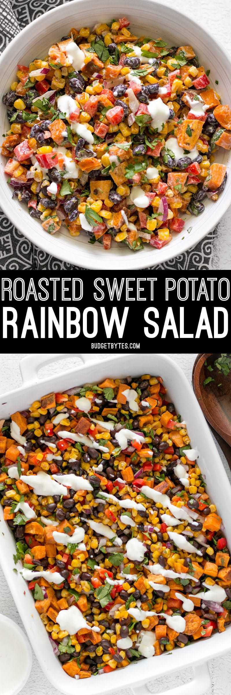 This Roasted Sweet Potato Rainbow Salad combines a medley of vibrant colors and flavors, brought together by a bright and creamy dressing. BudgetBytes.com