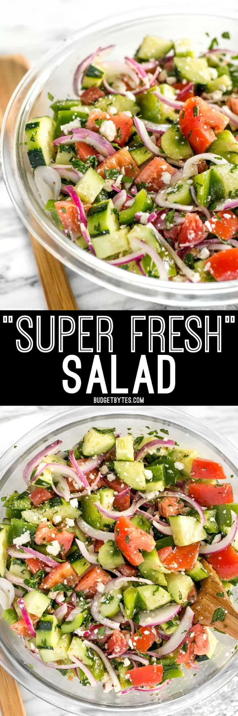 Super Fresh Salad is a cold, crunchy, juicy mix of flavorful vegetables topped with a simple red wine and oregano vinaigrette. BudgetBytes.com