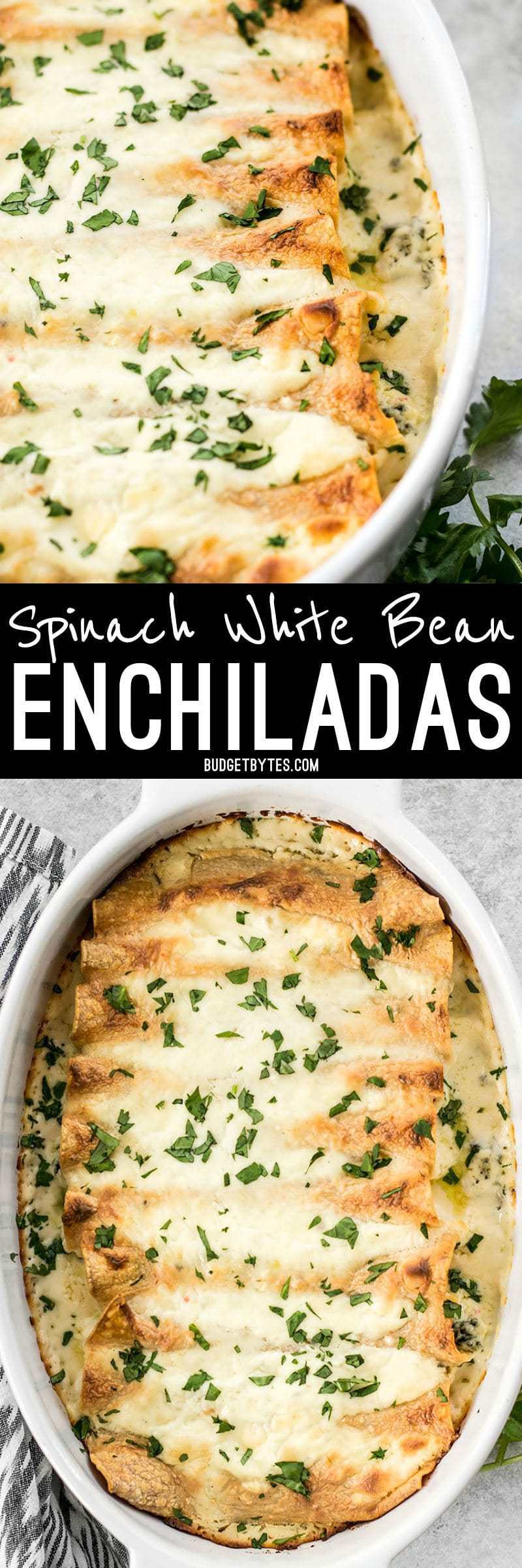 White beans make an inexpensive and fiber filled alternative to chicken in these creamy Spinach White Spinach White Bean Enchiladas. BudgetBytes.com