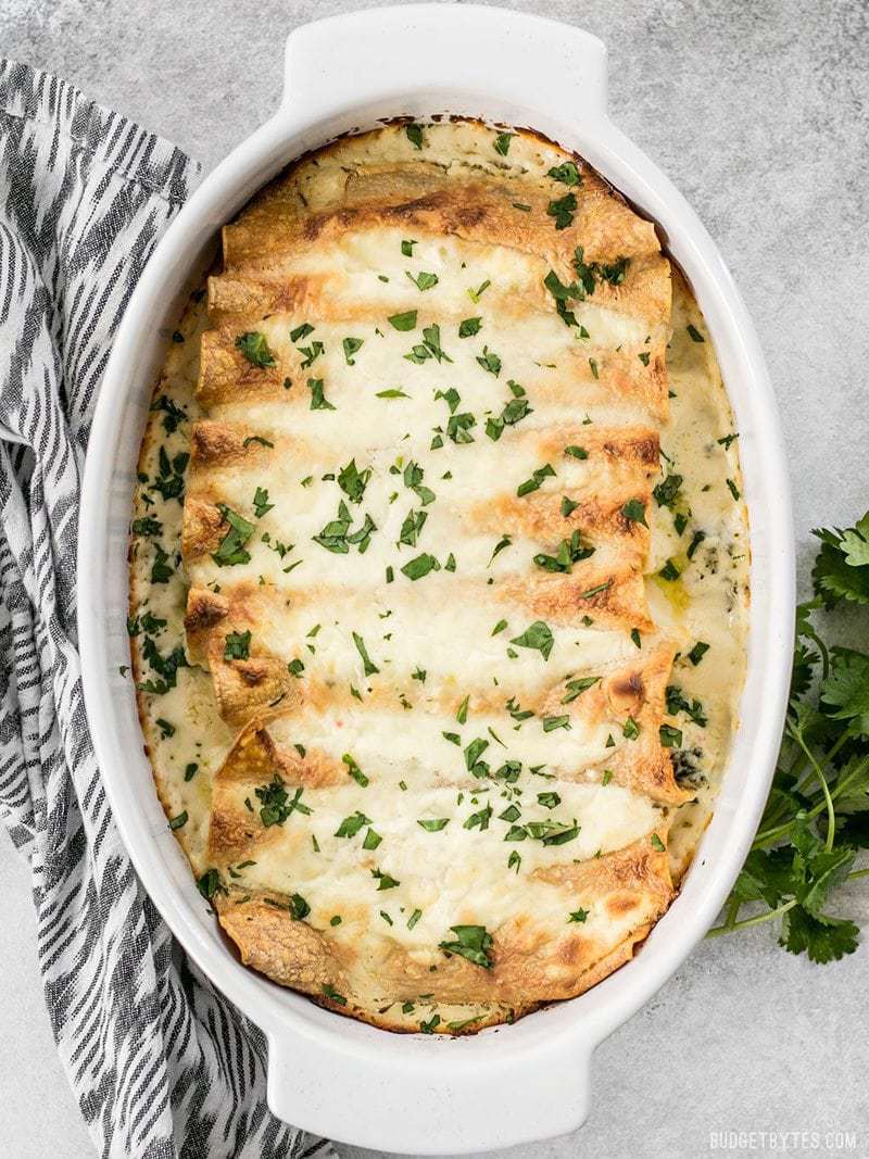 White beans make an inexpensive and fiber filled alternative to chicken in these creamy Spinach White Bean Enchiladas. BudgetBytes.com Overhead view of an oval baking dish with Spinach White Bean Enchiladas garnished with cilantro