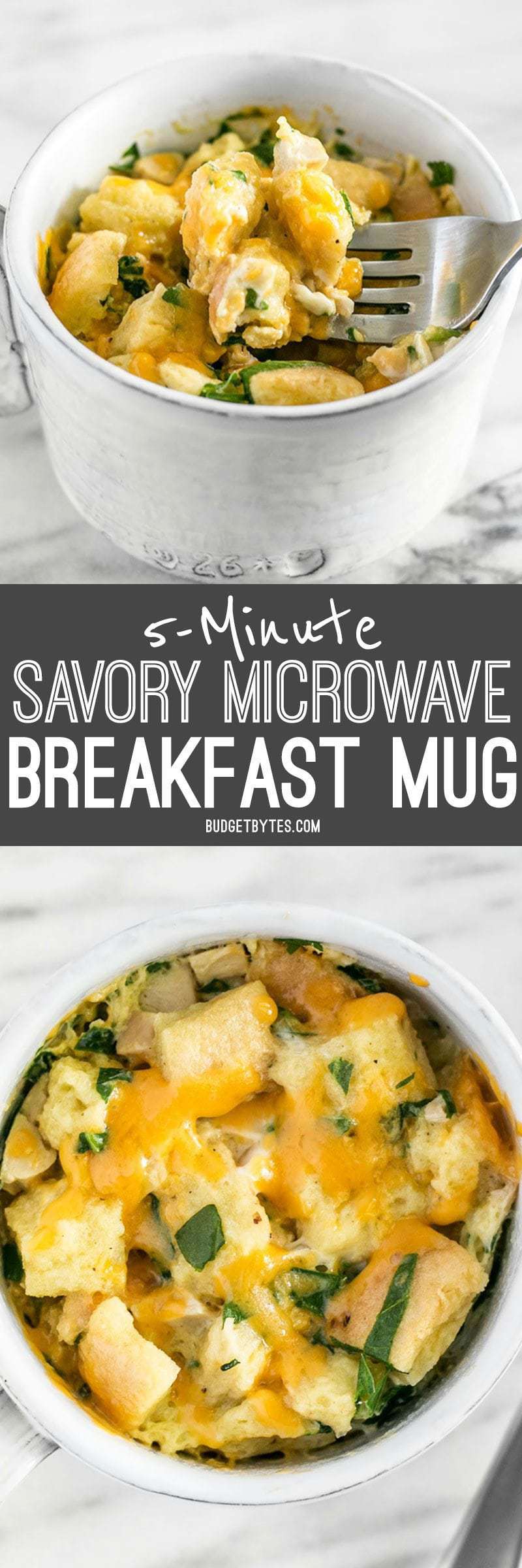 Use the leftovers in your fridge to make this delicious and filling 5 Minute Savory Microwave Breakfast Mug. Fast and easy! BudgetBytes.com