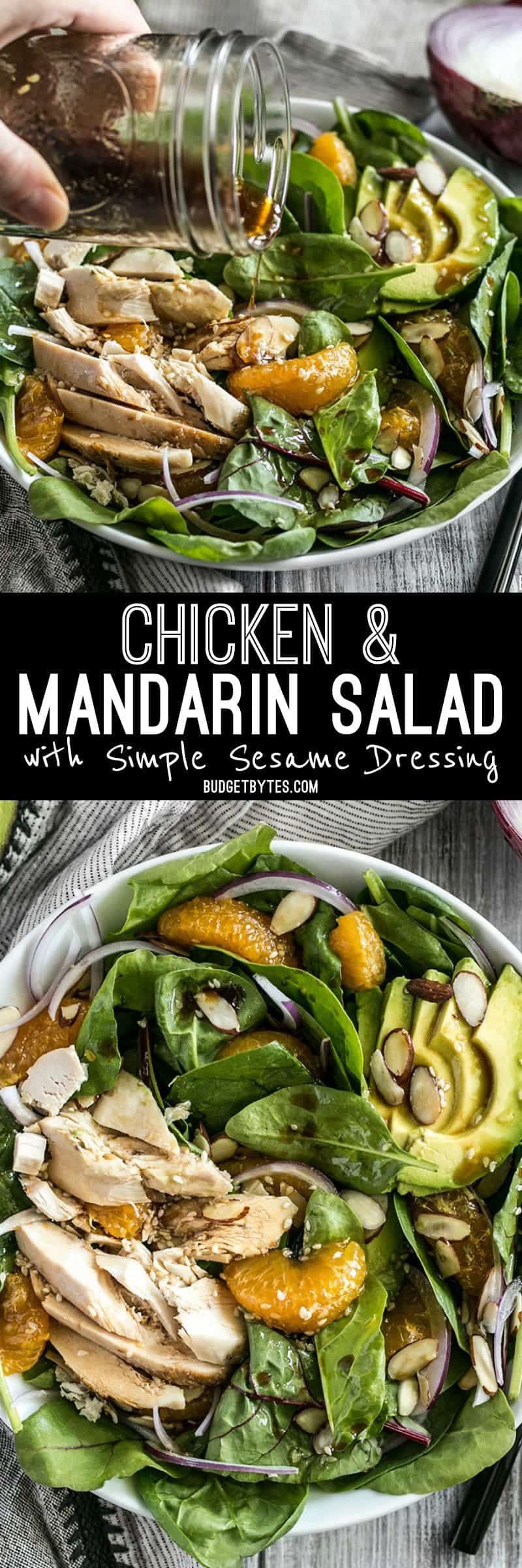 This meal-worthy Chicken and Mandarin Salad boasts sweet mandarin oranges, creamy avocado, crunchy almonds, and homemade sesame dressing. BudgetBytes.com