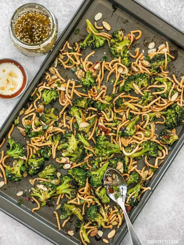This crunchy, sweet, and salty Roasted Broccoli Salad with Almonds is my favorite way to get my vegetables and goes great with any Asian inspired meal. BudgetBytes.com