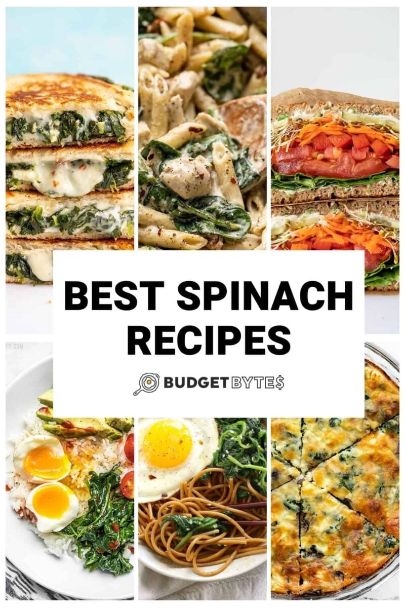 Collage of spinach recipe images with title text in the center.