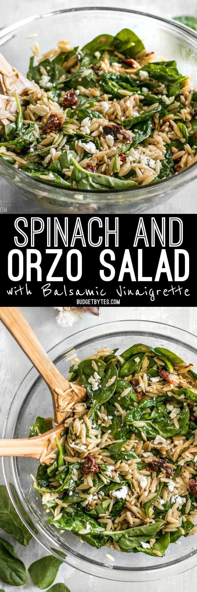 A quick homemade balsamic vinaigrette makes this simple Spinach and Orzo Salad extra special. Serve as a light lunch or a side with dinner. BudgetBytes.com