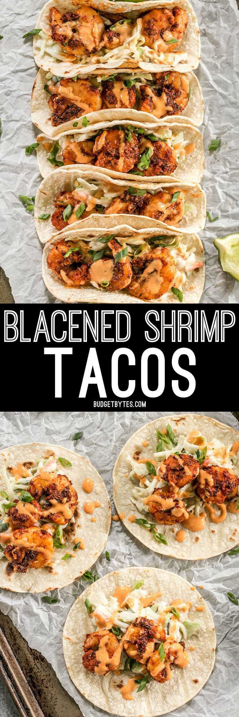 Smoky and spicy shrimp, sweet and tangy slaw, and a zesty garlic lime sauce make these Blackened Shrimp Tacos seriously delicious! BudgetBytes.com