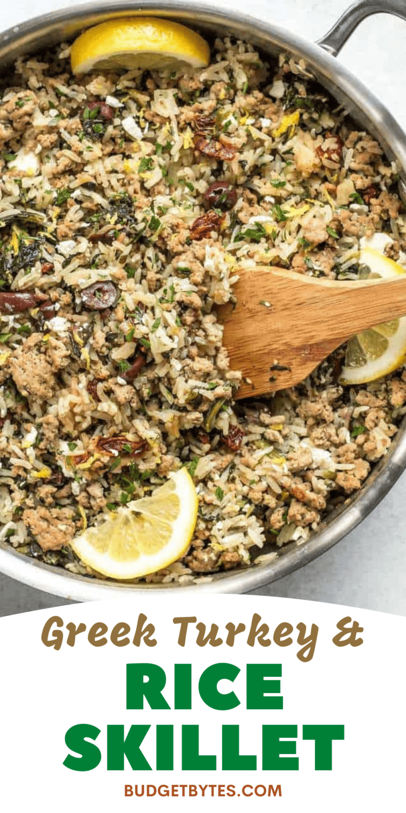 https://www.budgetbytes.com/wp-content/uploads/2017/06/Greek-Turkey-and-Rice-Skillet-2-800x1600.png