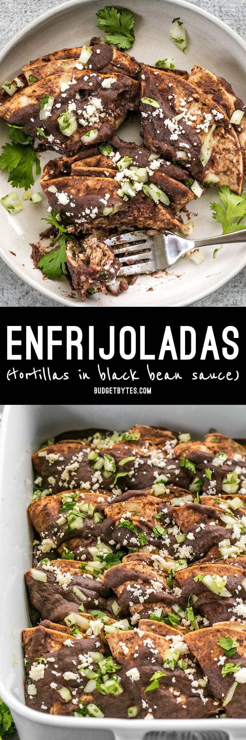 Enfrijoladas are an easy, flavorful, and customizable recipe based on corn tortillas drenched in a spicy black bean sauce. BudgetBytes.com