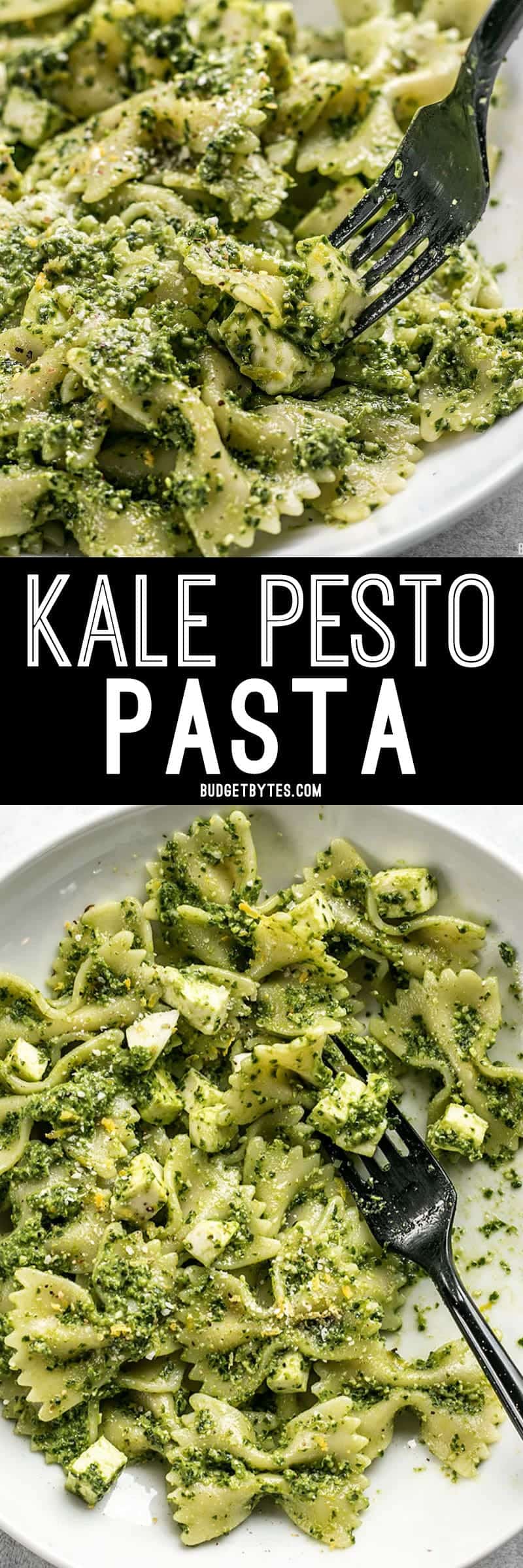 Kale makes a great inexpensive and earthy pesto! Dress up this Kale Pesto pasta with add-ins to make it a meal, or keep it simple for the perfect summer side. BudgetBytes.com