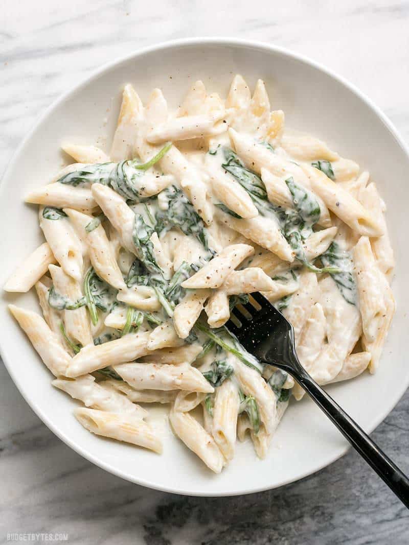 Penne Chicken Alfredo Pasta Recipe / penne alfredo pasta recipe : Maybe ...