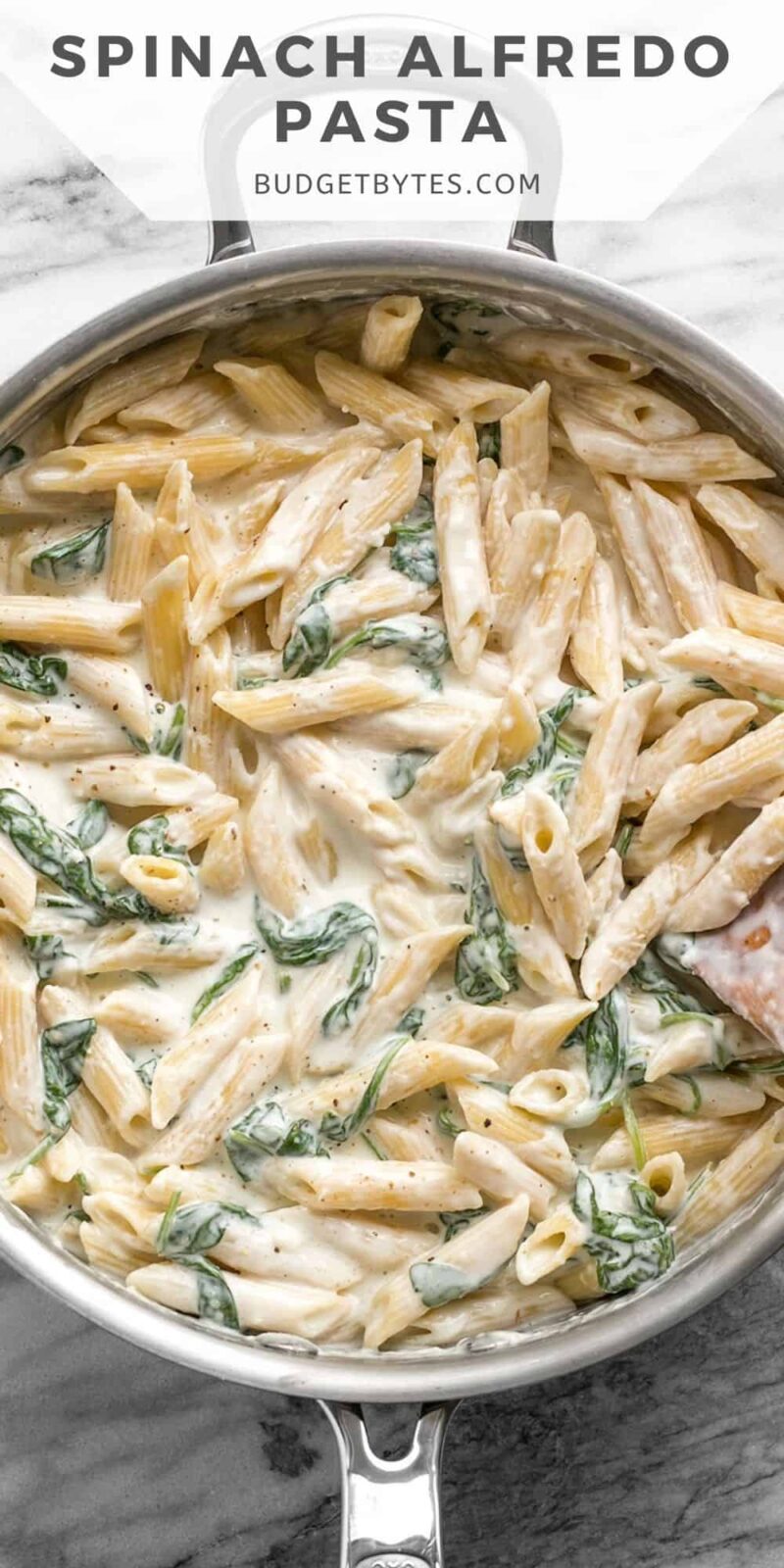 Spinach Alfredo Pasta Budget Bytes