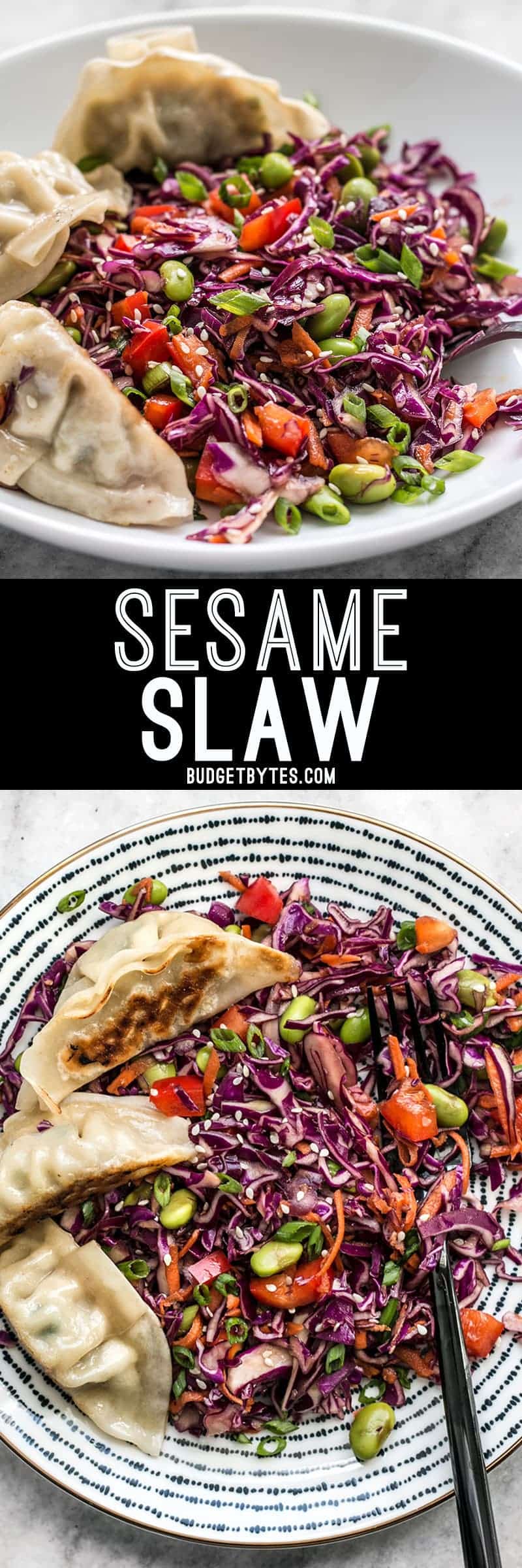 This simple Sesame Slaw makes a great side dish, or a bed for other items like gyoza, fried tofu, or grilled chicken. BudgetBytes.com